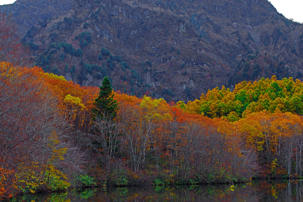 山懐に抱かれて　IMGP9651zz