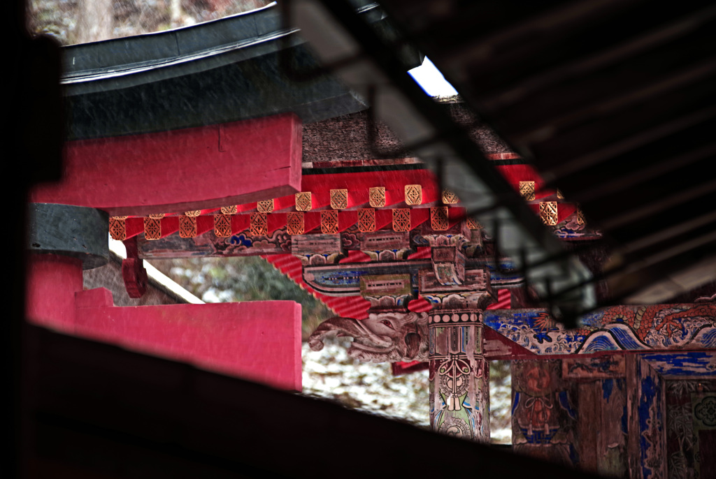 極彩色を垣間見る　IMGP1617zz