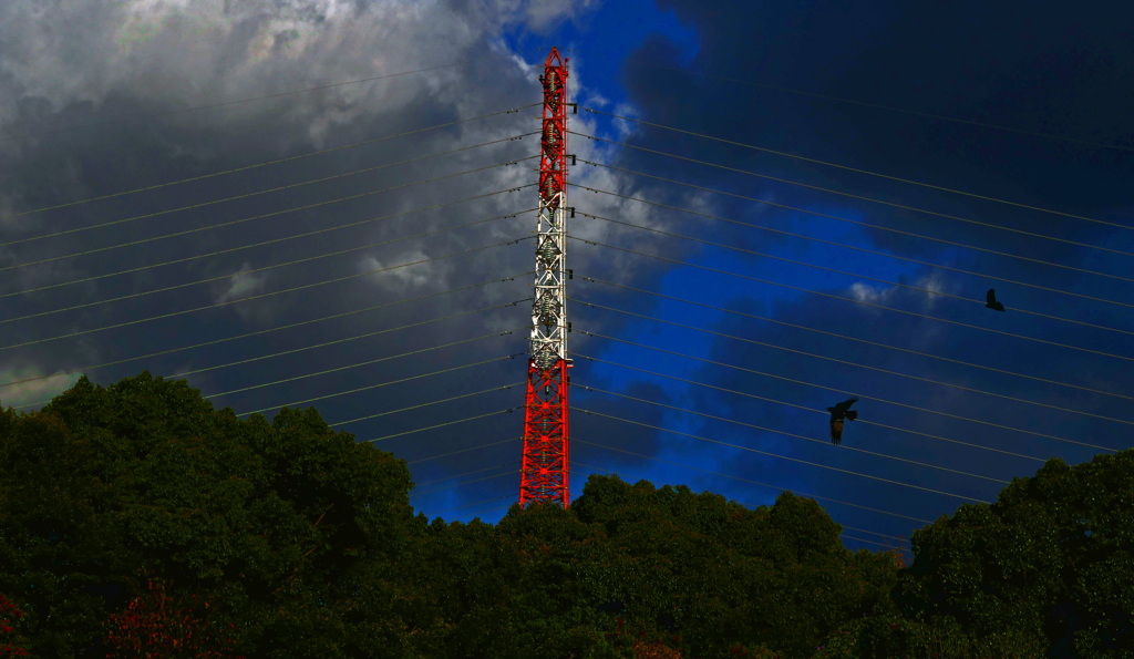 大空の鳥かご　P1800467zz