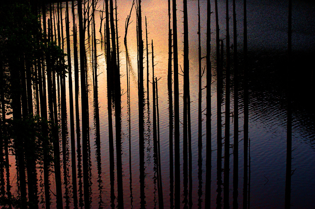 自然湖の夜明け　IMGP0527zz