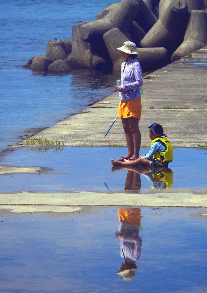 水溜まり　P1650255zz