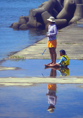 水溜まり　P1650255zz