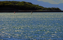 夏の海　P1043212zz