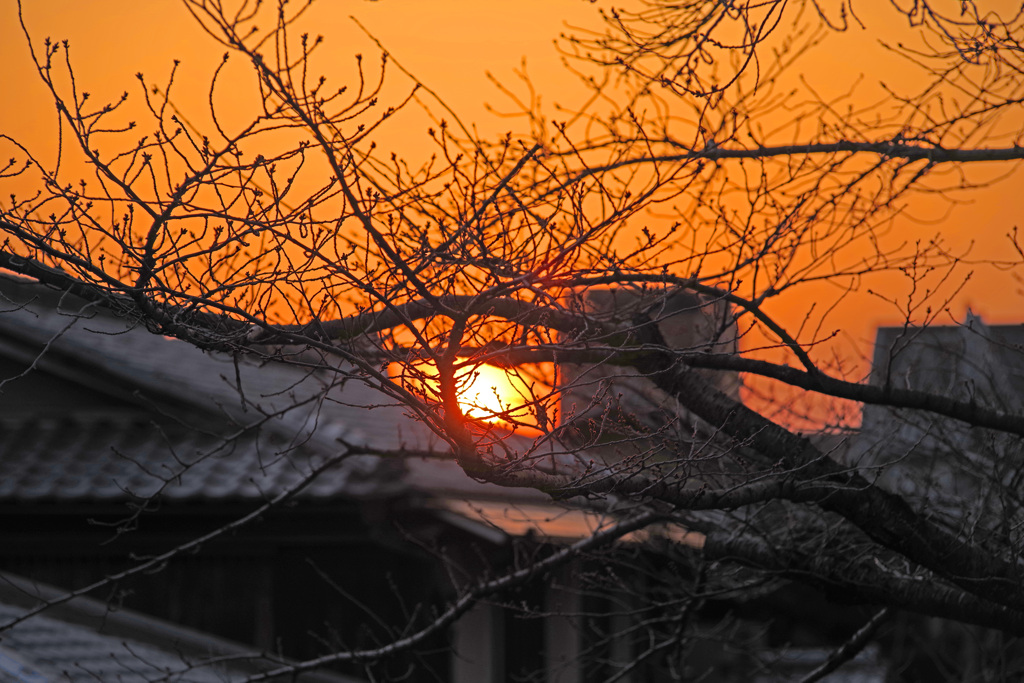 古都 黄昏れ時　IMGP1983zz