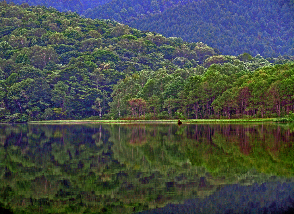明鏡止水　DSC06656zz