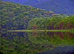 明鏡止水　DSC06656zz