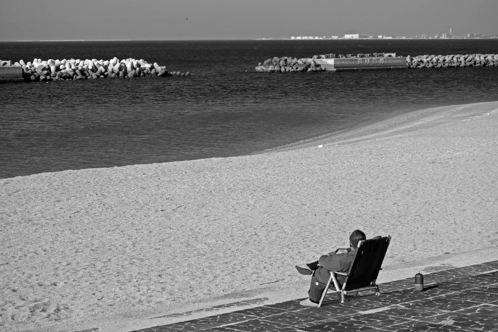 冬を愉しむ　P1320435ZZ