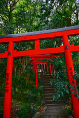 鳥居は続く　P1310943zz