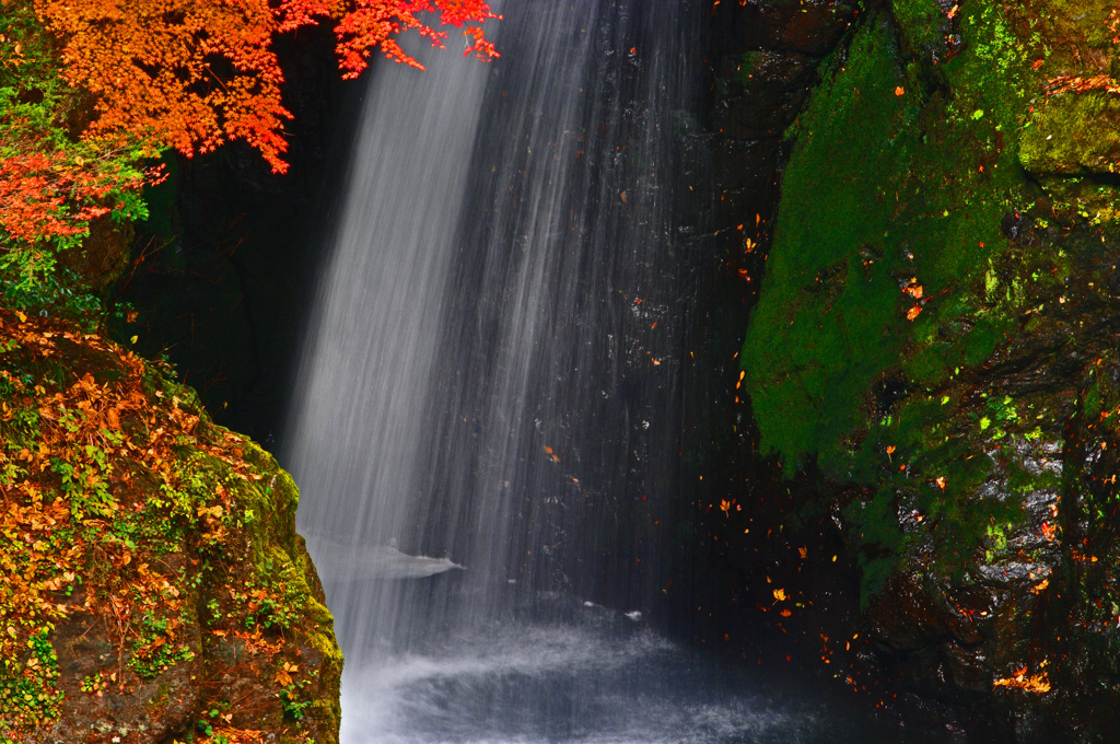 滝と椛と苔むす岩　IMGP0365zz