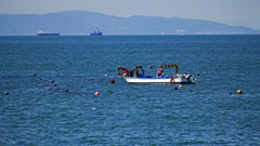 早春の海　P1061254zz