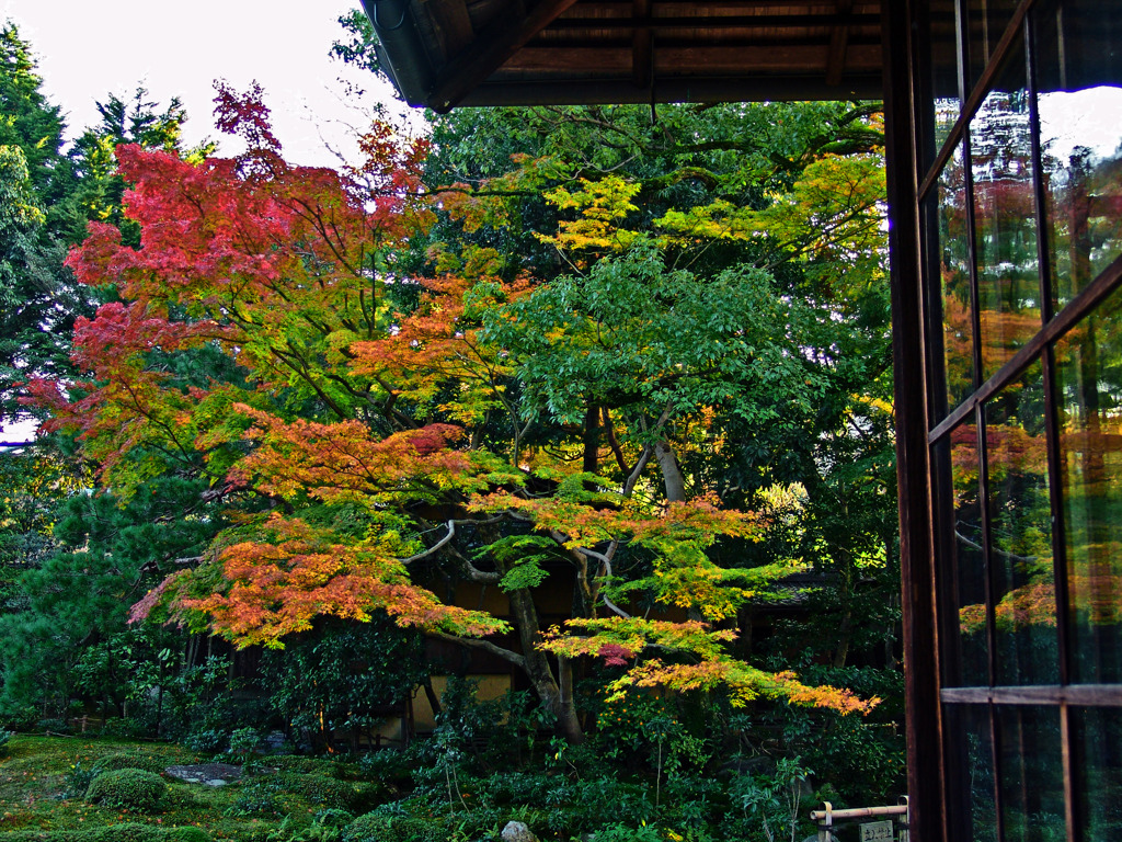 秋の無鄰菴　DSC01485zzz