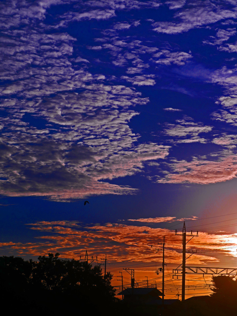 空が燃えた朝　P1390037zz