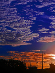 空が燃えた朝　P1390037zz