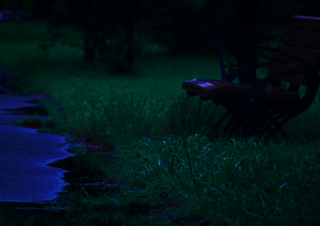 雨上りの陰鬱な風景　P1680021zz