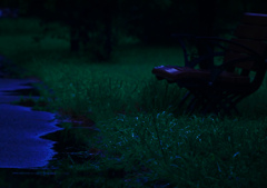 雨上りの陰鬱な風景　P1680021zz