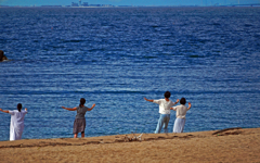 ある海岸のある風景　P1190766zz