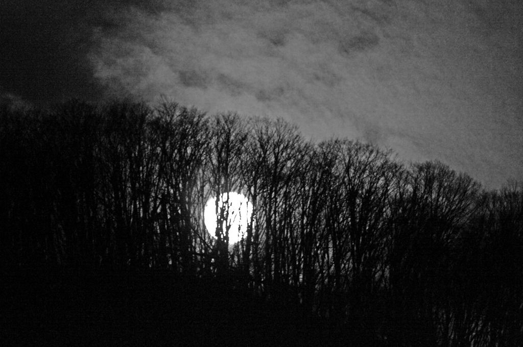 満月が昇った　IMGP4846zz