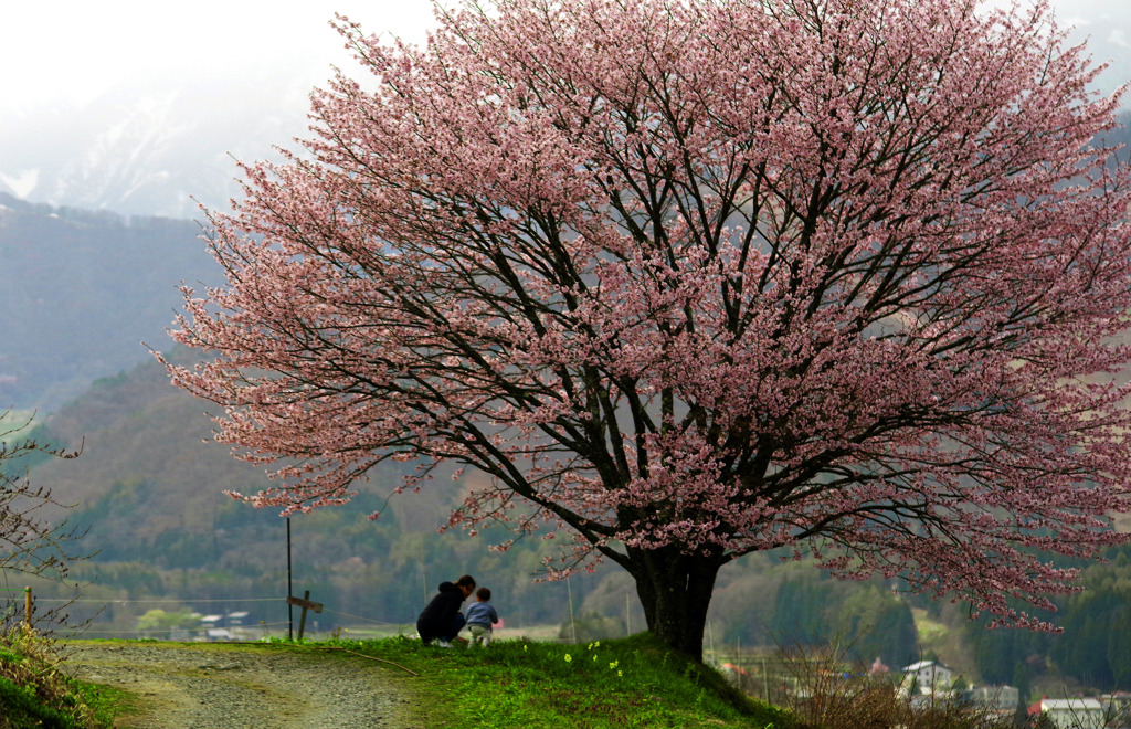 春遊び　IMGP3020zz