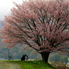 春遊び　IMGP3020zz