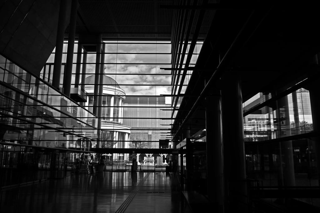 Reflection　P1250744zz