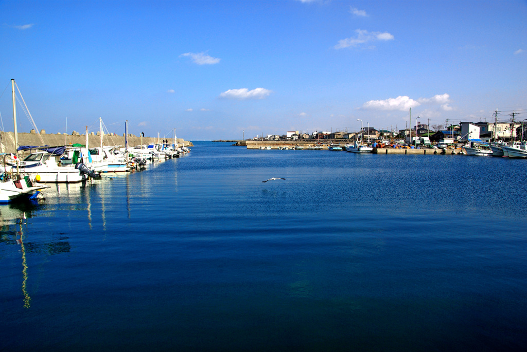 昼下がりの漁港　IMGP0116zz