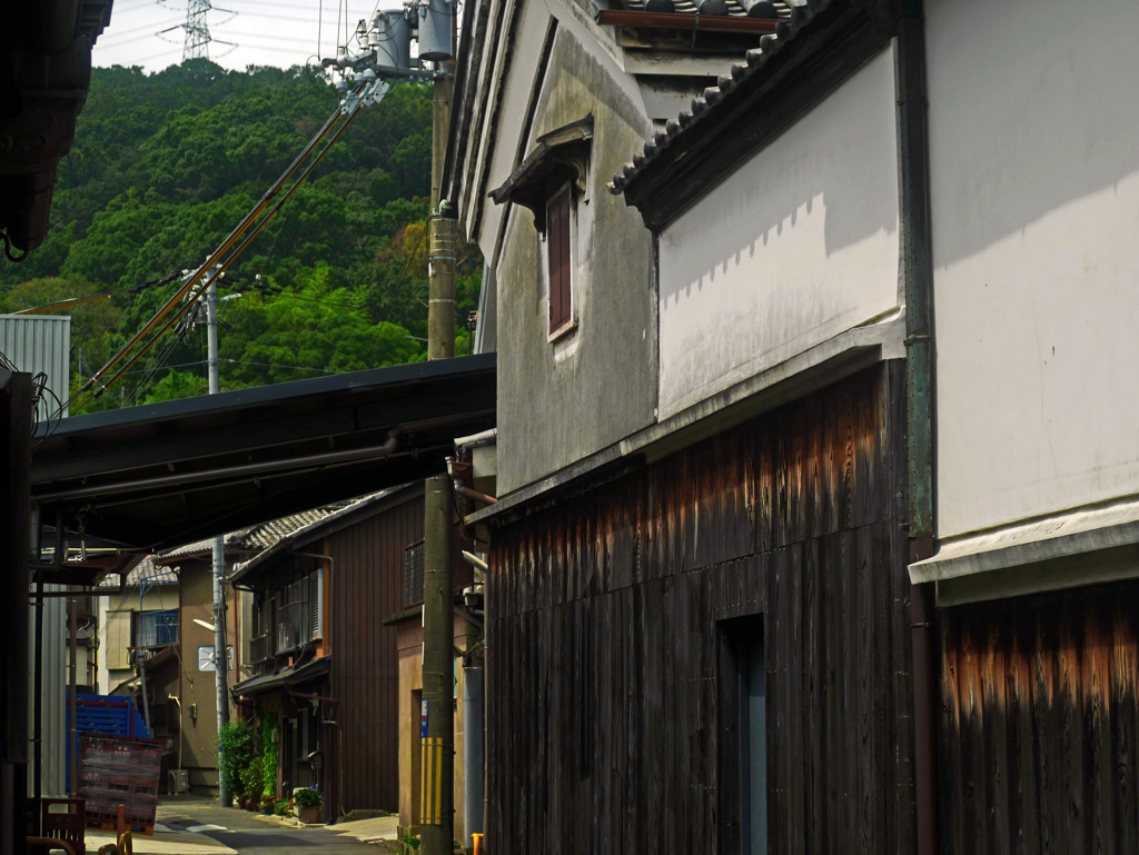 真昼の静寂　P1380398zz