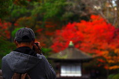 熱中！　IMGP2162zz