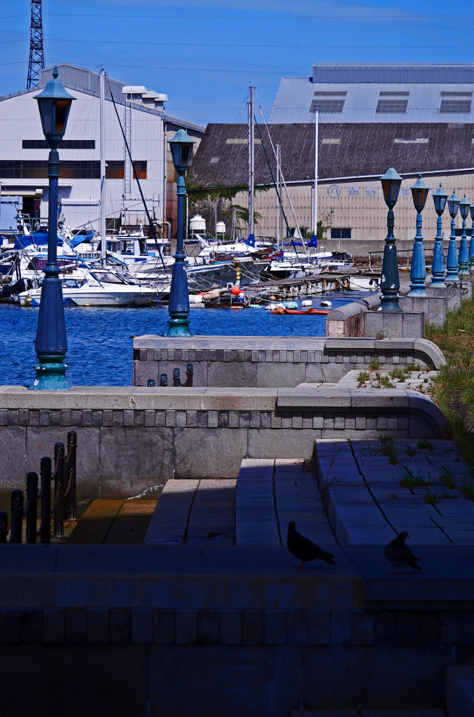 小さな船溜まり　P1250791zz