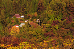 山里の秋　IMGP3384zz