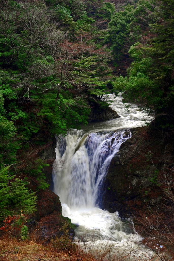 雪解けの大滝　IMGP7933zz