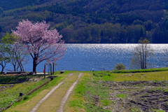 湖へ続く径　P1063853zz