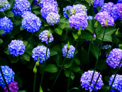 新旧交代　P1300142zz