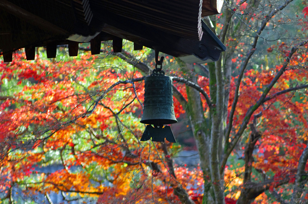 風鐸　IMGP1606zz