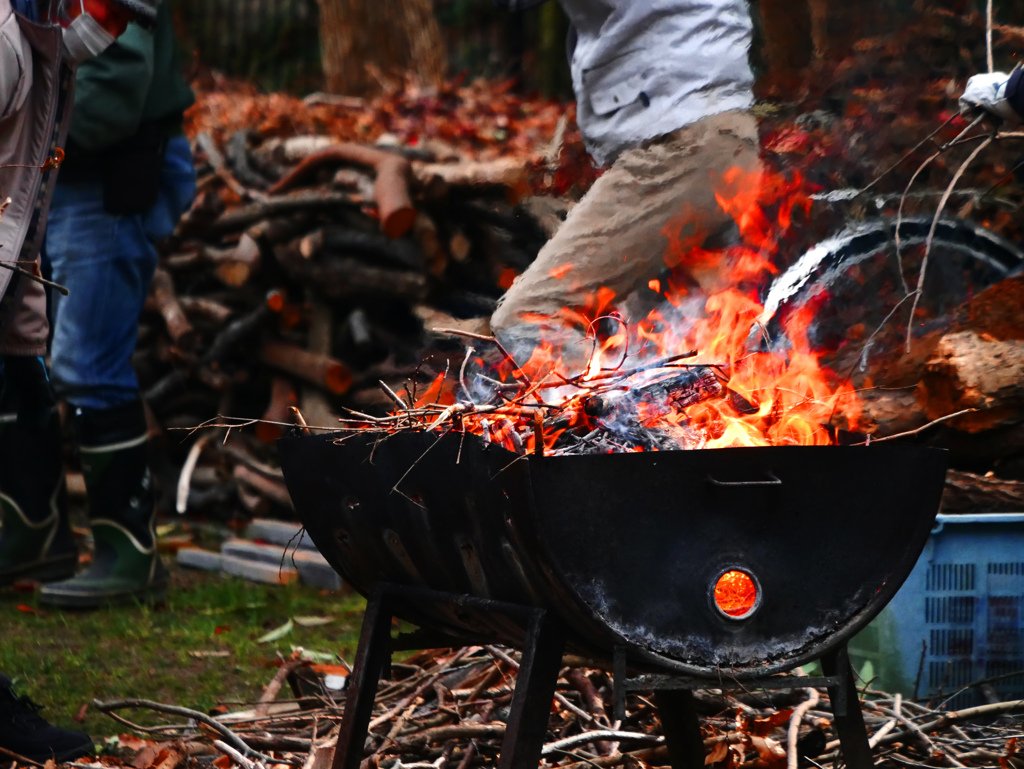 焚火の火　P1060901zz