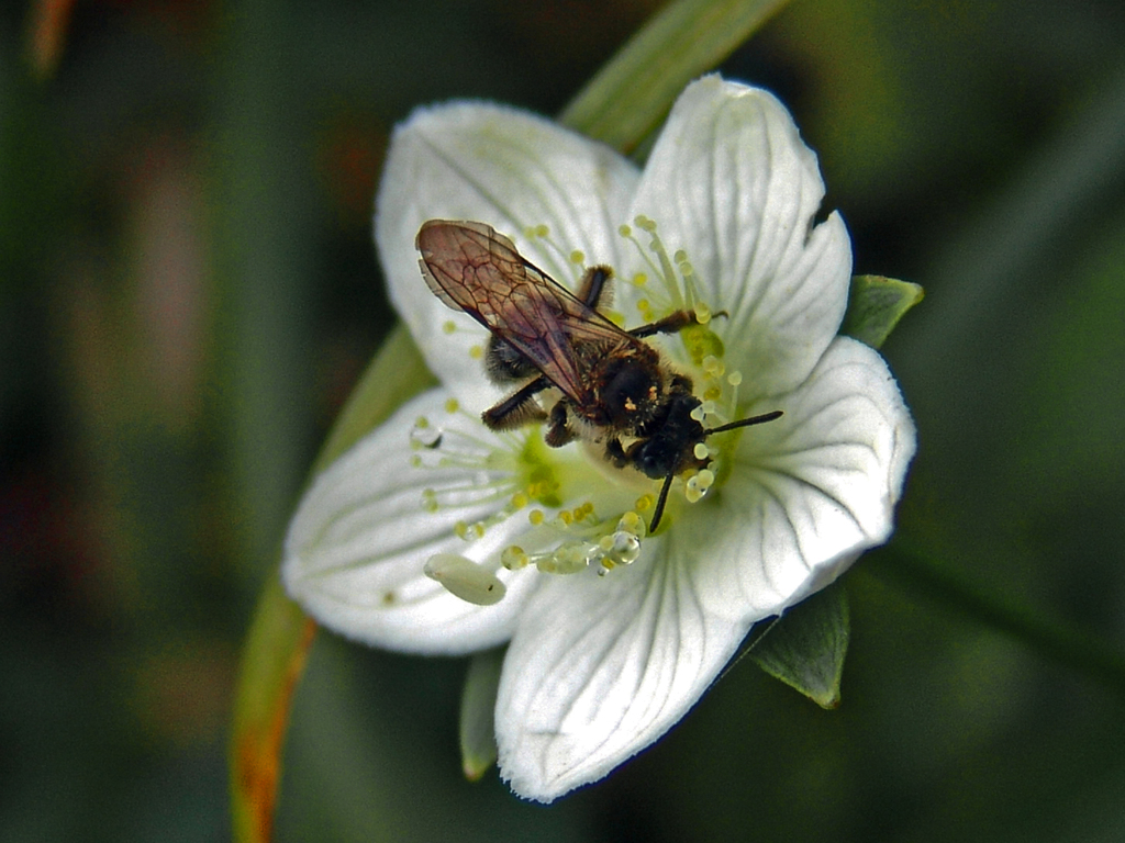 夢中で食事中　DSC04349zz