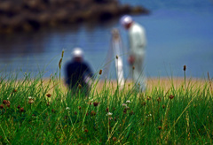 測量する人　P1580418zz