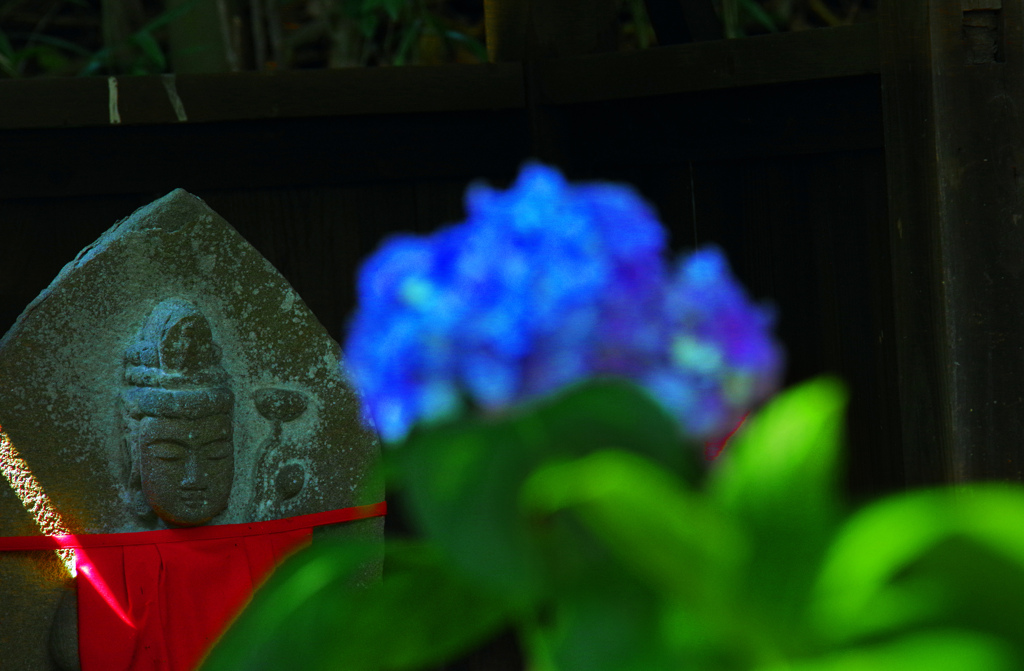 花と石仏　IMGP2960zz