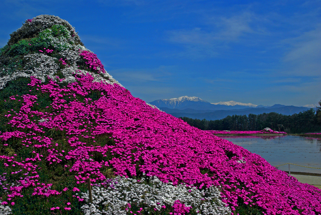 これも富士山？　IMGP5389zz