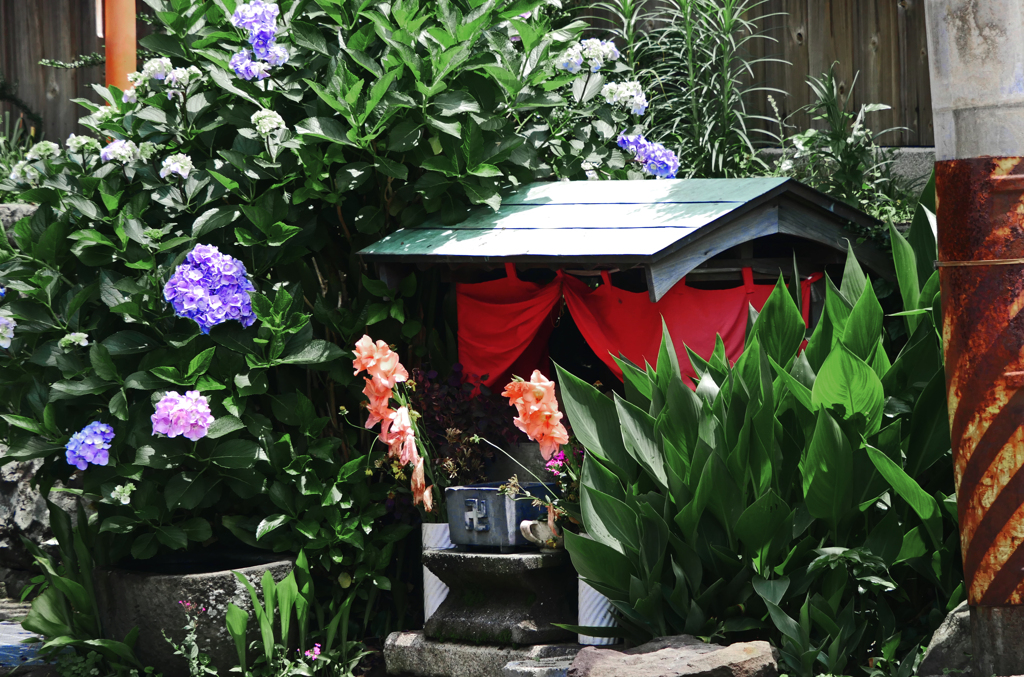 花を手向ける　P1190009zz