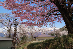 火の見櫓が見える風景　IMGP2474zz