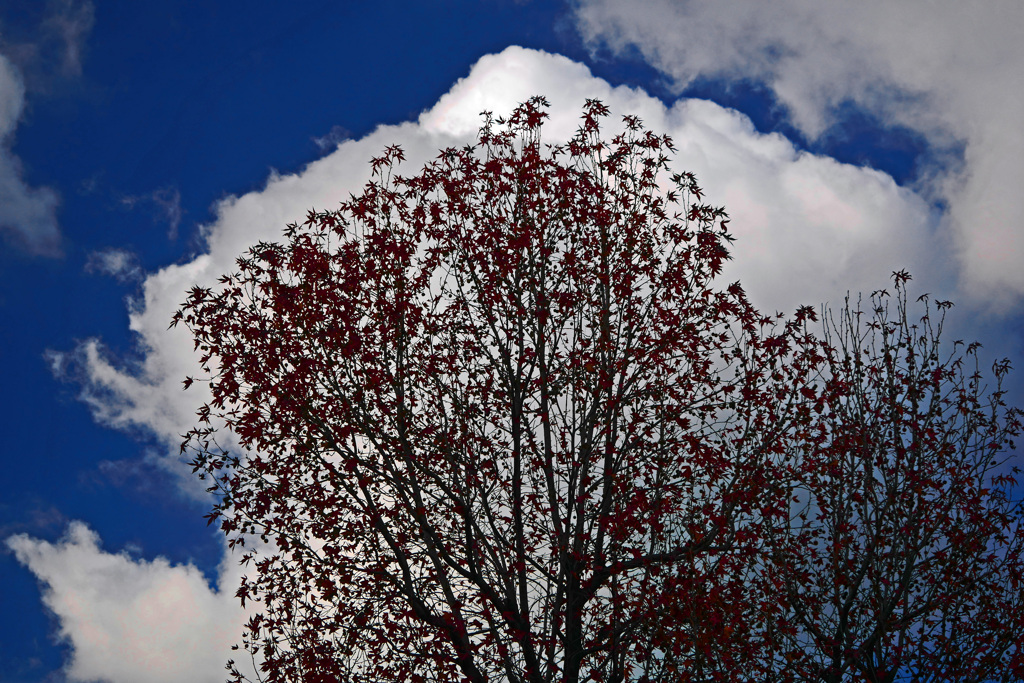 雲を背負って　P1800458zz