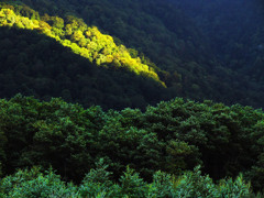 雲の切れ間 上高地　DSC04758zz