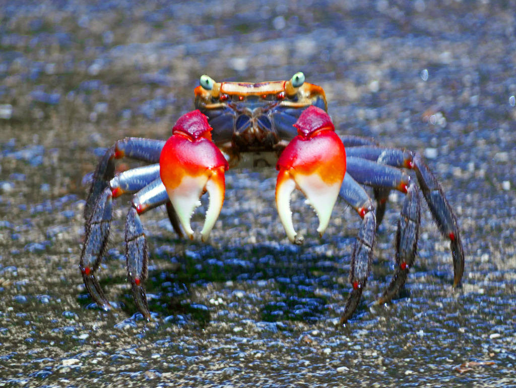 スタンバイ　P1380031zz