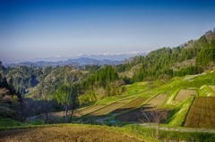 のどかな春の景　_IGP9273-HDR-0001