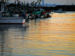 早朝の漁港　P1160788zz