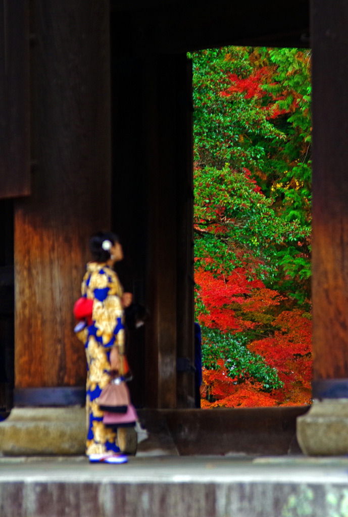 一幅の絵画　IMGP1438zz