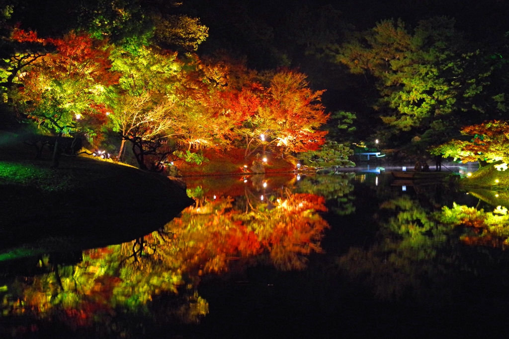 夜の彩　IMGP8429zz