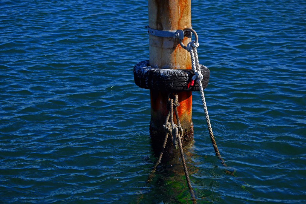 舫(もやい）　P1800784zz