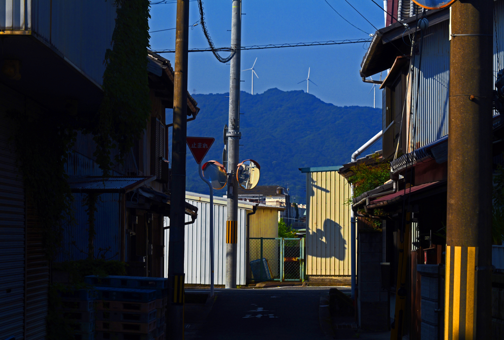 朝の陽と影　P1087809zz