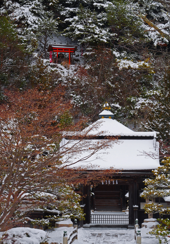 高野冬景 其の弐　P1146968zz